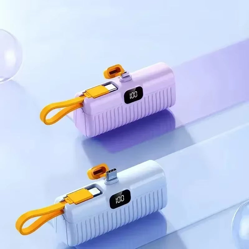 300000mAh 2-in-1 Mini Power Bank
